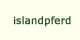 islandpferd